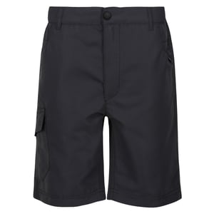 Regatta Sorcer II Shorts för barn/ungdomar (Seal Grey)