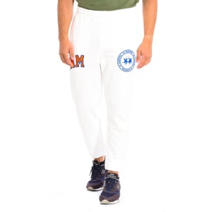 Men's Jogger Sports Pants 11M100-FP533