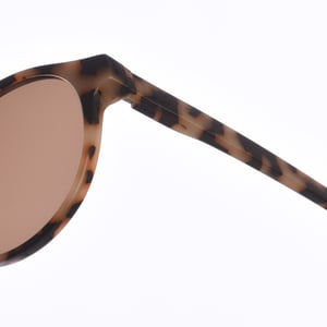 Unisex Pantos-formade solglasögon i acetat Z423