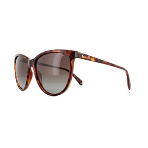 Polaroid Sunglasses PLD 4066/S 086 LA Dark Havana Brown Polarized