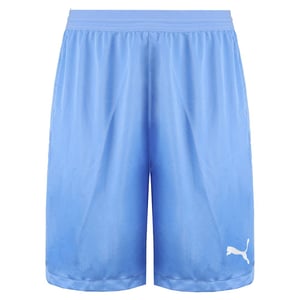 Puma DryCell TeamFinal 21 Stretch Midja Herr Ljusblå Shorts 704257 18