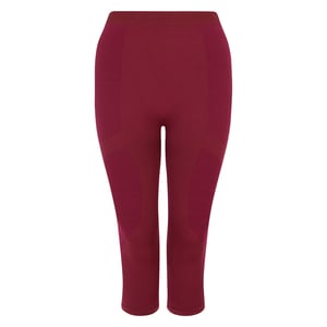 Dare 2B Dam/Ladies In The Zone II Panel 3/4 Leggings (Fig)
