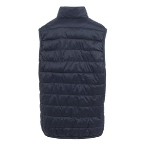 Regatta Hillpack II Gilet för dam och dam (Marinblått)