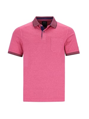 hajo polo