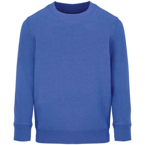 SOLS Childrens/Kids Columbia Sweatshirt (Royal Blue)