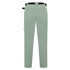 Dare2b Heren tuned in pro lichtgewicht broek