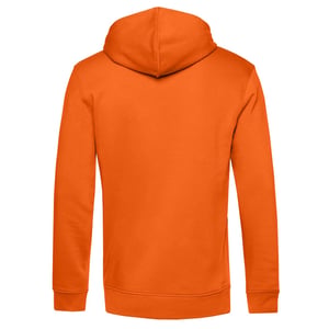 Ballin Est. 2013 Basic hoodie
