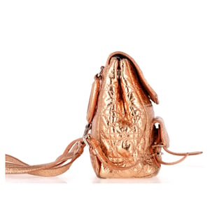 Dior Stardust Backpack in Gold Leather