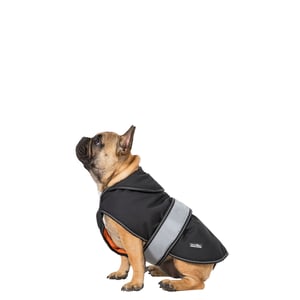 Trespass Butch Softshell hundjacka med tryckknäppning (svart)