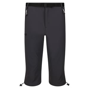 Regatta Heren Xert Stretch III Stretch Active Capri Shorts (Afdichting Grijs)