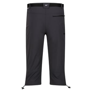 Regatta Heren Xert Stretch III Stretch Active Capri Shorts (Afdichting Grijs)