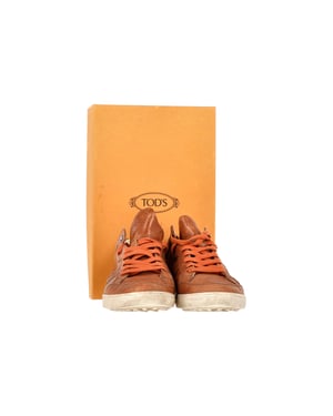 Tod's Low Top Sneakers in Bruin Leer