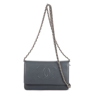 Classic Timeless Wallet on Chain  Shoulder Bag