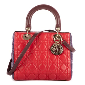 Medium Lady Dior Zip PM Handbag