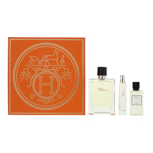 Hermes Terre D'hermes Eau De Toilette 100ml + 15ml + Shower Gel 40ml Gift Set