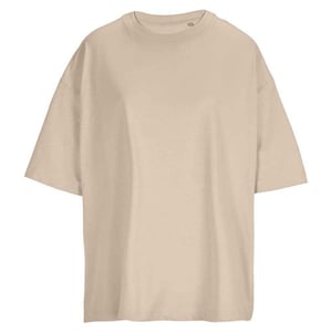SOLS Womens/Ladies Boxy Organic Oversized T-Shirt (Linen)