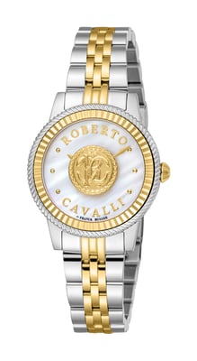 Two Tone Stainless Steel Watch