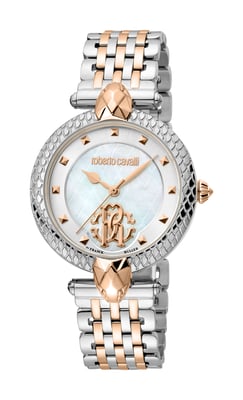 Two Tone Stainless Steel Watch