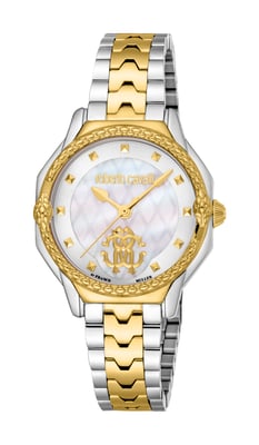 Two Tone Stainless Steel Watch
