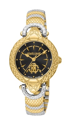 Brown Dial Gold Bezel Stainless Steel Watch