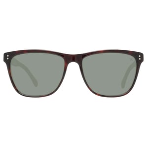 Hackett Bespoke Sunglasses HSB849 143 55