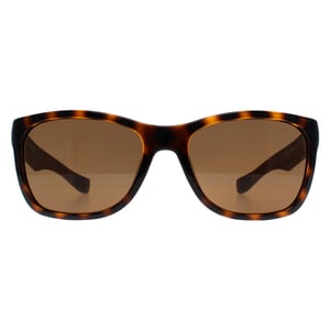 Lacoste Square Unisex Havana Brown Polarized L662SP