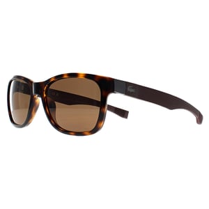 Lacoste Square Unisex Havana Brown Polarized L662SP