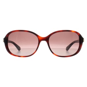 Kate Spade Butterfly Womens Shiny Dark Havana Brown Gradient Izabella/G/S