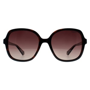 Polaroid Square Womens Havana Brown Gradient Polarized PLD 4177/S/X