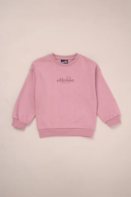 2-Piece Sweatshirt and Short Outfit Set
