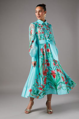 Boarder Print Organza Shirt Dress