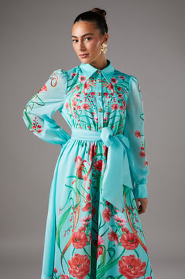 Boarder Print Organza Shirt Dress