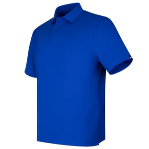 Under Armour Heren T2G Poloshirt (Koningsblauw)