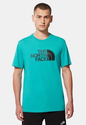 The North Face Mens T Shirt SS Easy Tee Porcelain Green