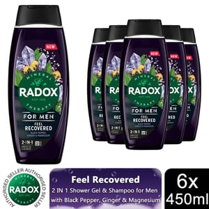 Radox  Mineral Therapy Feel Recovered 2in1 Shower Gel & Shampoo For Men, 450ml 6pk