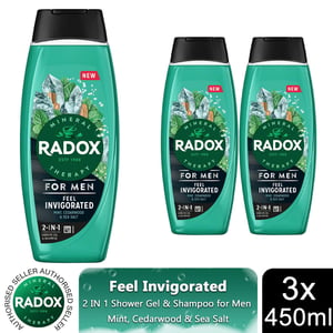 Radox  Mineral Therapy Feel Invigorated Shower Gel & Shampoo For Men, 450ml 3pk