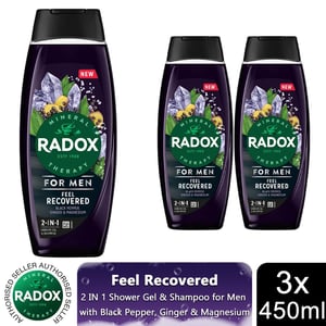 Radox  Mineral Therapy Feel Recovered 2in1 Shower Gel & Shampoo For Men, 450ml 3pk