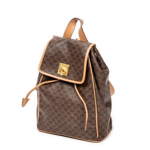 Small Flap Drawstring Backpack  Backpack