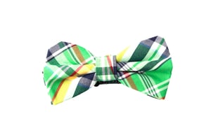 Check Print Bow Tie in Multi Green