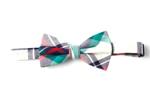 Check Print Bow Tie in Multi Blue