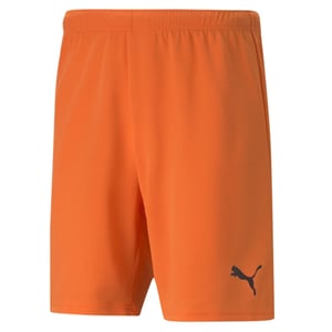 Puma Mens TeamRISE Shorts Football DryCELL Orange 704942