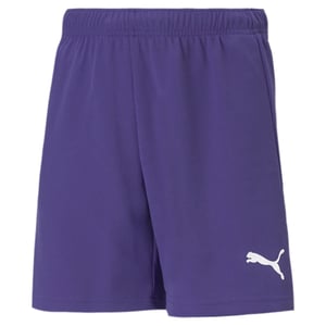 Puma Boys / Girls TeamRISE Shorts Junior Purple 704943