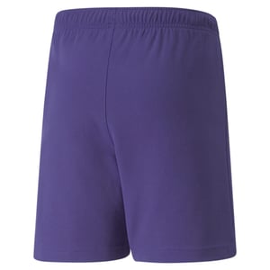 Puma Boys / Girls TeamRISE Shorts Junior Purple 704943