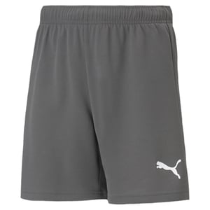 Puma Boys / Girls TeamRISE Shorts Junior Grey 704943
