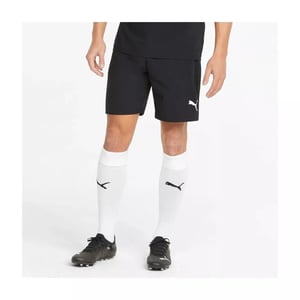 Puma Mens teamFINAL DryCELL Shorts