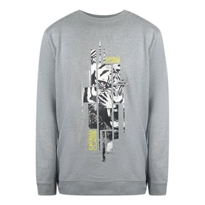 Cavalli Class Splintered Tiger Grafisch Grijs Sweatshirt