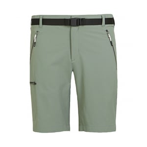 Regatta Heren Xert III Stretch Shorts (Agave Groen)