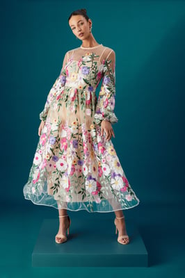 Coast Muse Long Sleeve Embroidered Maxi Dress