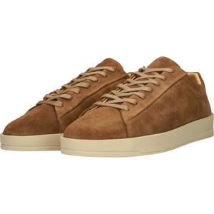CATO VICTOR - BG354 Tabacco - Sneaker (low)