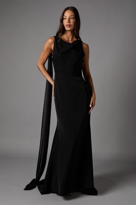 Chiffon Cowl Back Detail Maxi Dress